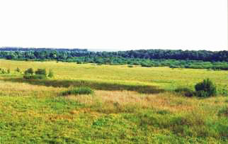 Куквинський заказник